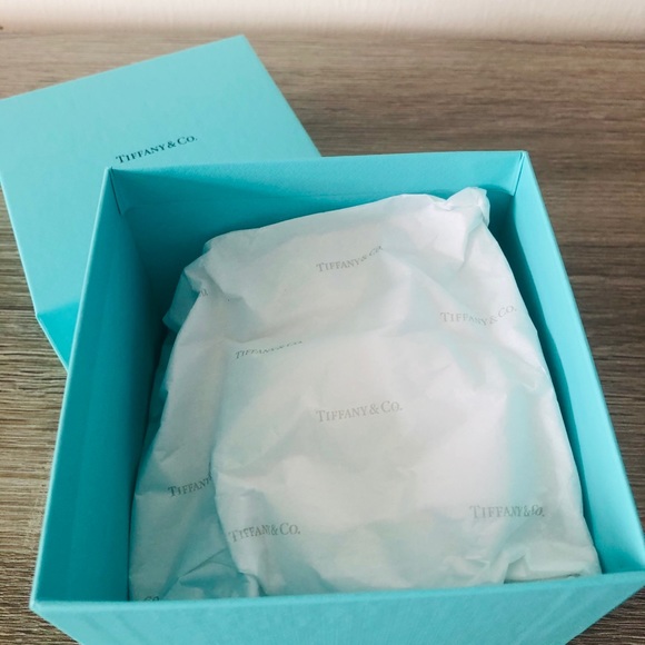 Tiffany & Co. Blue Empty Gift Box - Picture 8 of 11